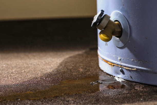 Best Commercial water damage restoration  in Venus, TX