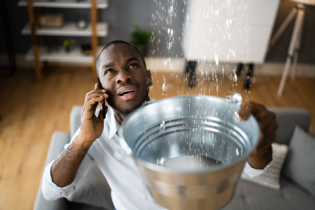 Best Ceiling water damage repair  in Venus, TX