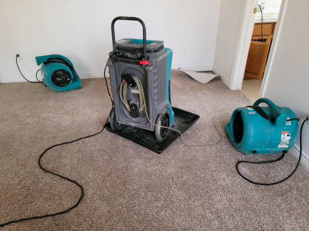 Best Emergency water damage restoration  in Venus, TX