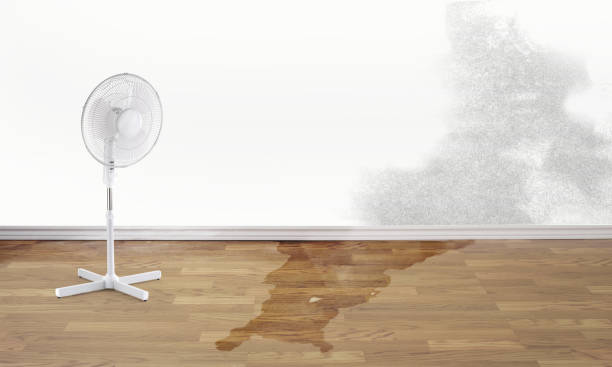 Reliable Venus, TX Water damage restoration Solutions