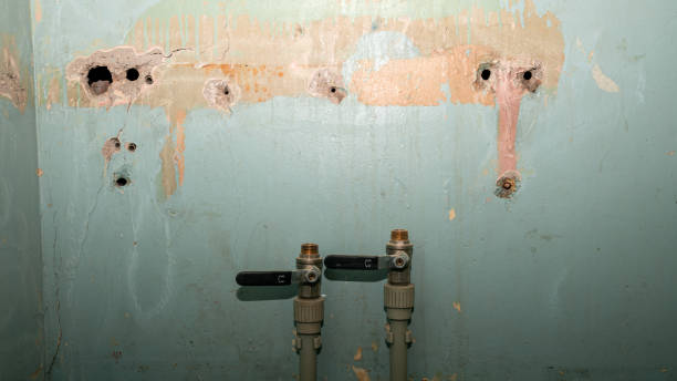 Best Residential water damage restoration  in Venus, TX